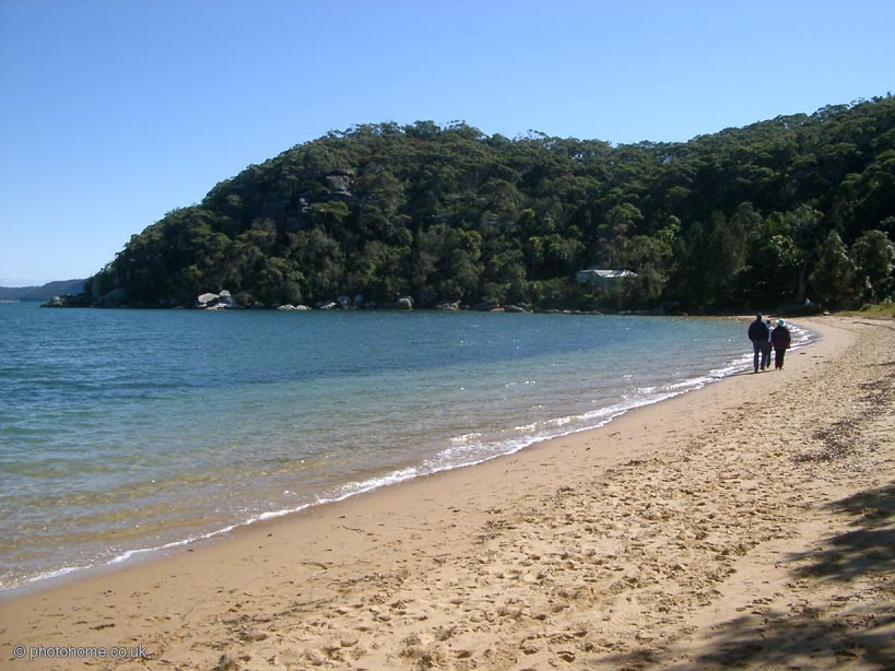 palmbeach1 (125k image)