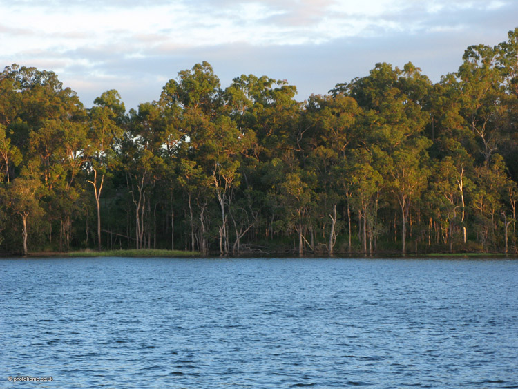 view of the tinaroo falls dam reservoir, queensland, australia