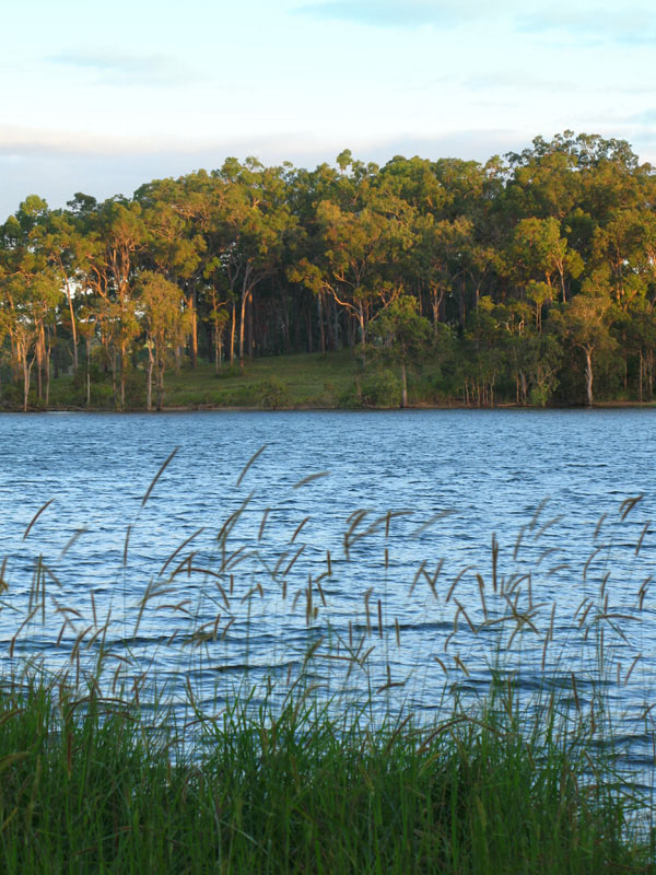 view of the tinaroo falls dam reservoir, queensland, australia