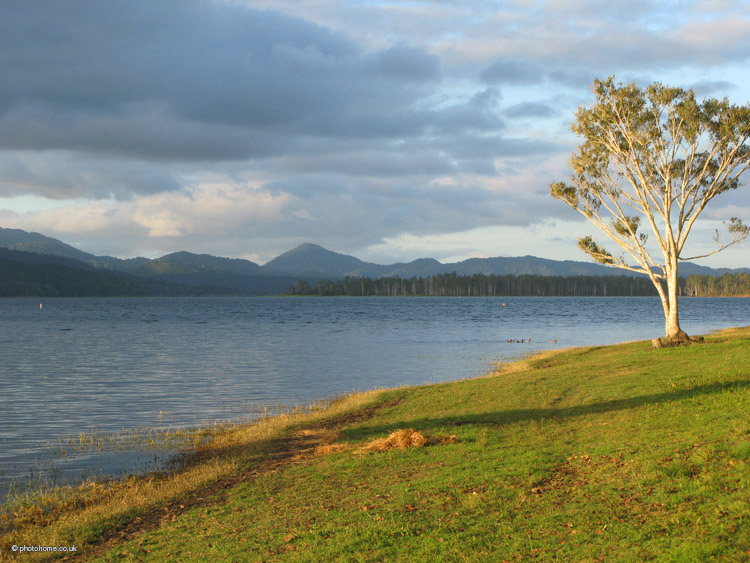 late afternoon sun on the banks of lake tinaroo